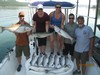 (07/19/2016) - Nice Striped Bass